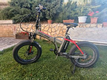 e bike Modello Argento