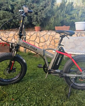 e bike Modello Argento