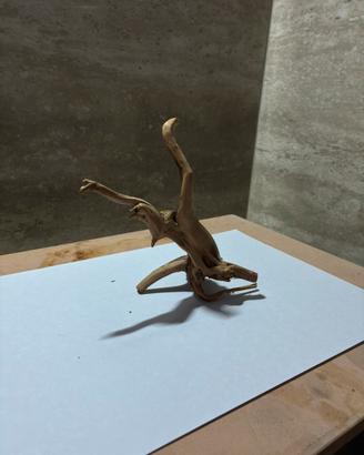 Legno di’ mangrovia per acquario