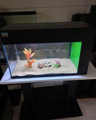 acquario 