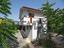 Immagine 17