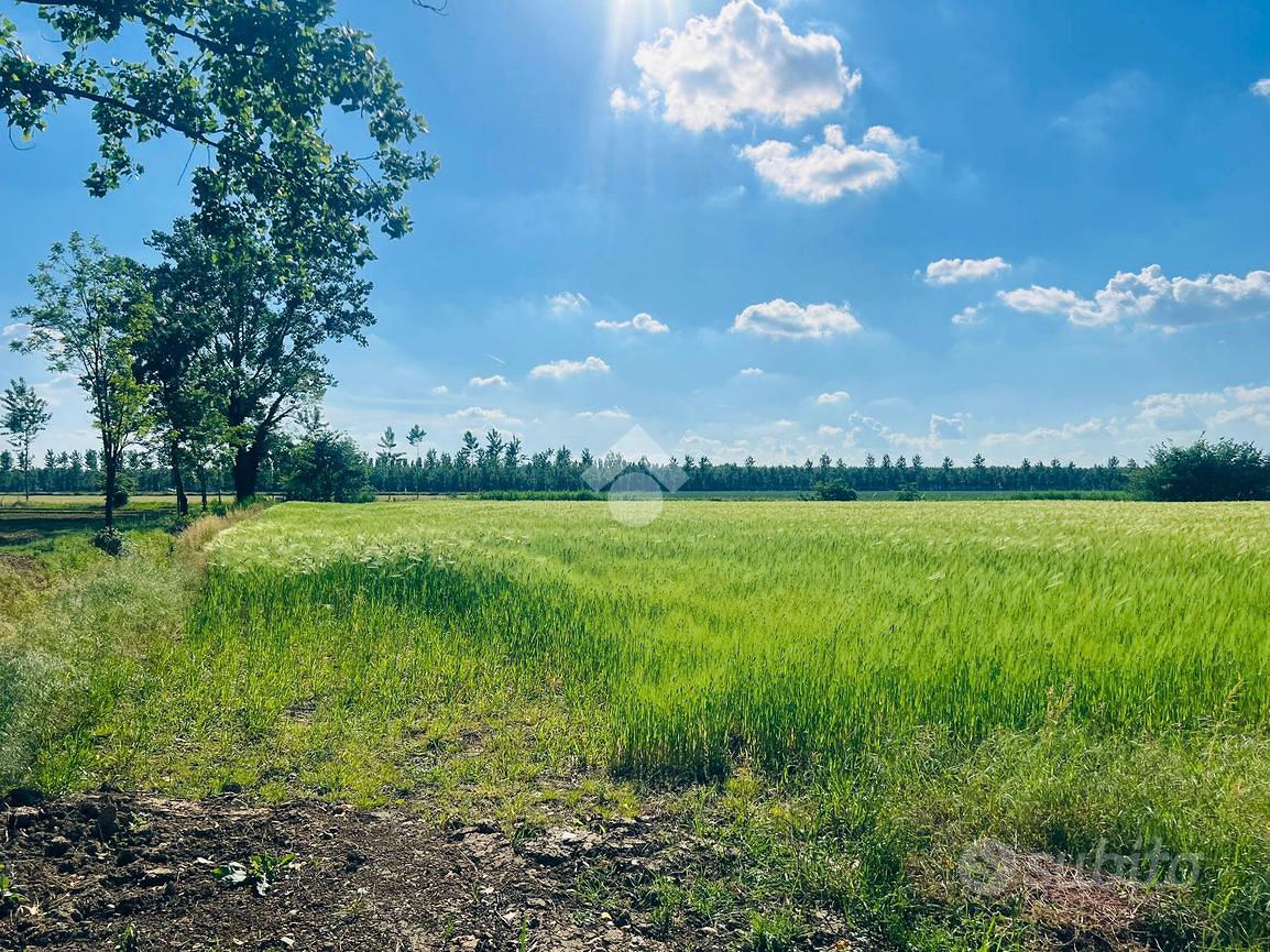 TER. AGRICOLO A CARAVAGGIO - Vista 5