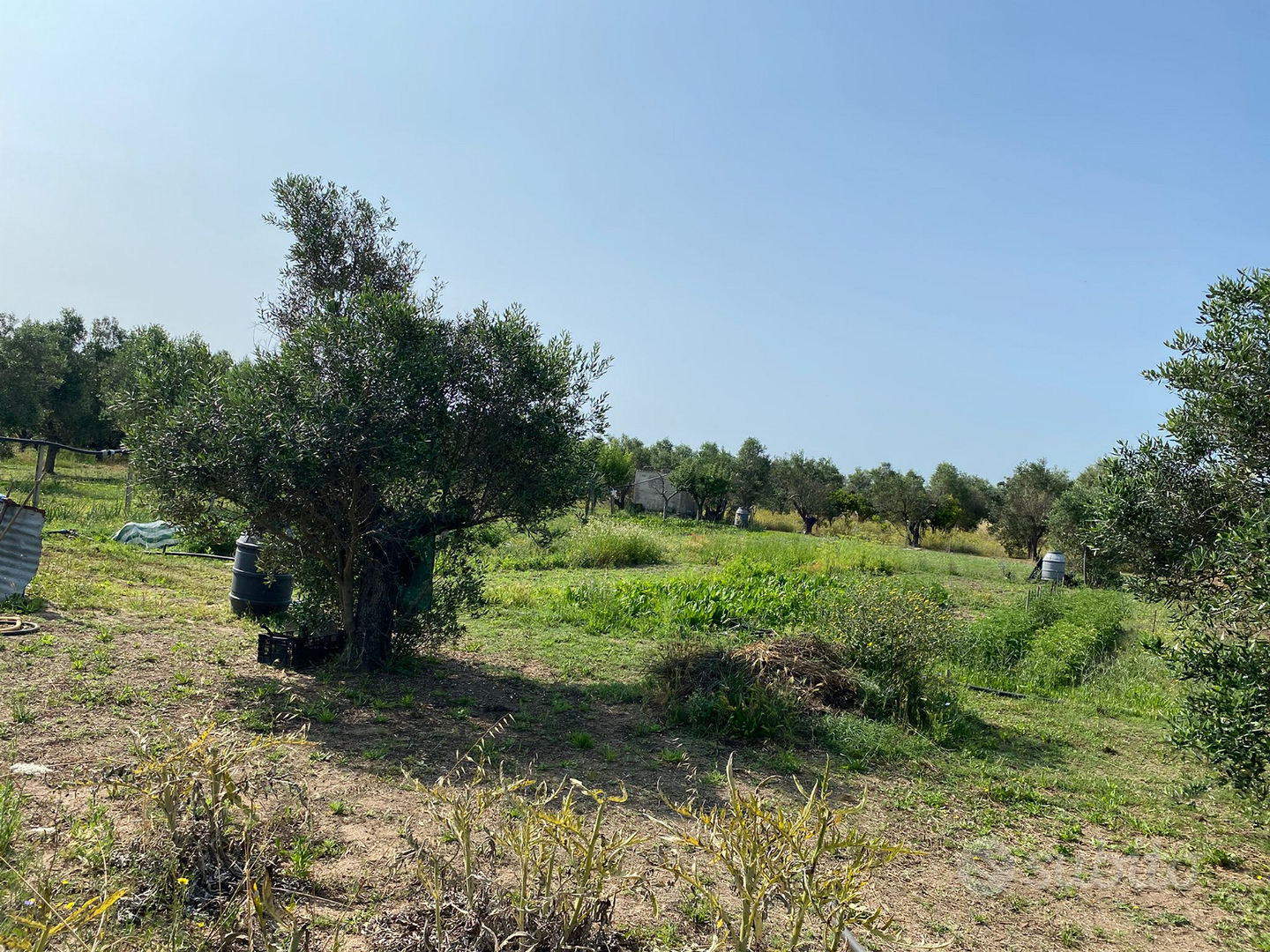 Terreno agricolo - View 2