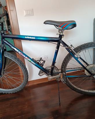 bicicletta MTB 26