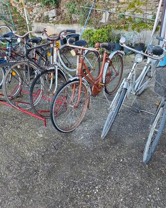 Biciclette di diverse tipologie e modelli
