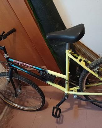 Bici mountain bike 