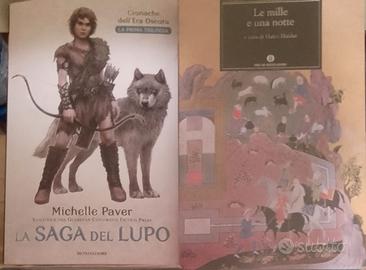 Lotto 2 libri Fantasy 