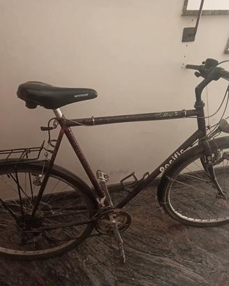 bicicletta da uomo 