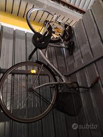 Bicicletta da Donna