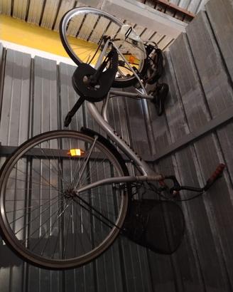 Bicicletta da Donna