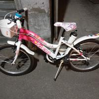 bici bimba misura 22 