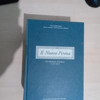 il nuovo pirona vocabolario friulano