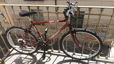 bicicletta con pompa e catena di sicurezza