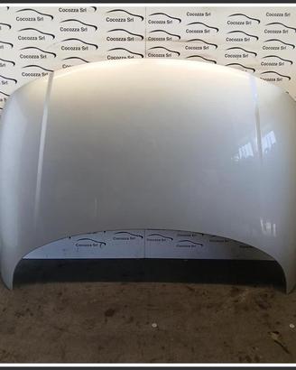 Cofano Motore Anteriore AUDI TT 8N3 8N0823029A