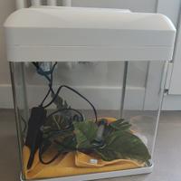 Acquario Billy 16 completo