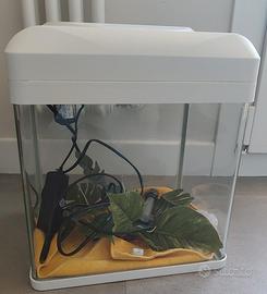 Acquario Billy 16 completo