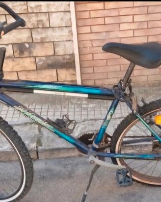 Bicicletta 