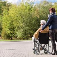 Assistenza persone anziane e bambini/Pulizie