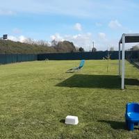 Terreno agricolo a Viareggio