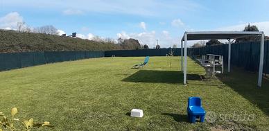 Terreno agricolo a Viareggio