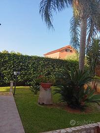 Vendita villa carini