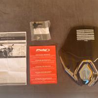 Cupolino BMW R1250R