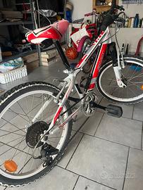 Biciclette