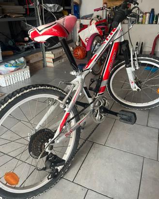 Biciclette
