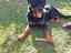 Immagine 2