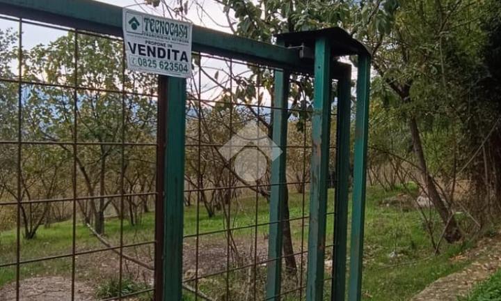 TER. AGRICOLO A MONTEFREDANE