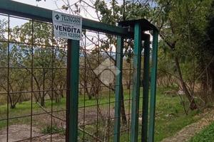 TER. AGRICOLO A MONTEFREDANE