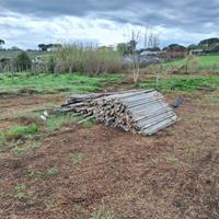 Pali in cemento per vigna