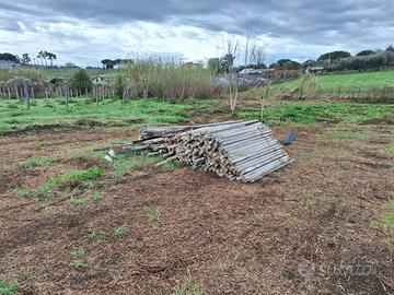 Pali in cemento per vigna