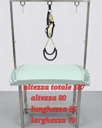 tavolo Professionale per Toelettatura 