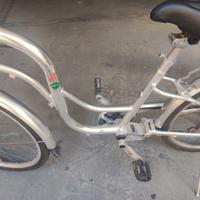 Bicicletta alluminio.