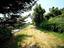 Immagine 24
