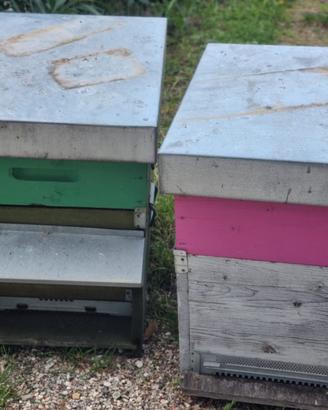 Arnie per apicoltura