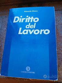 libro diritto del lavoro ghera 14°edizione