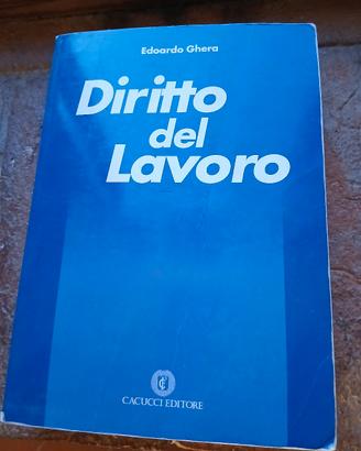 libro diritto del lavoro ghera 14°edizione