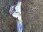 Immagine 1
