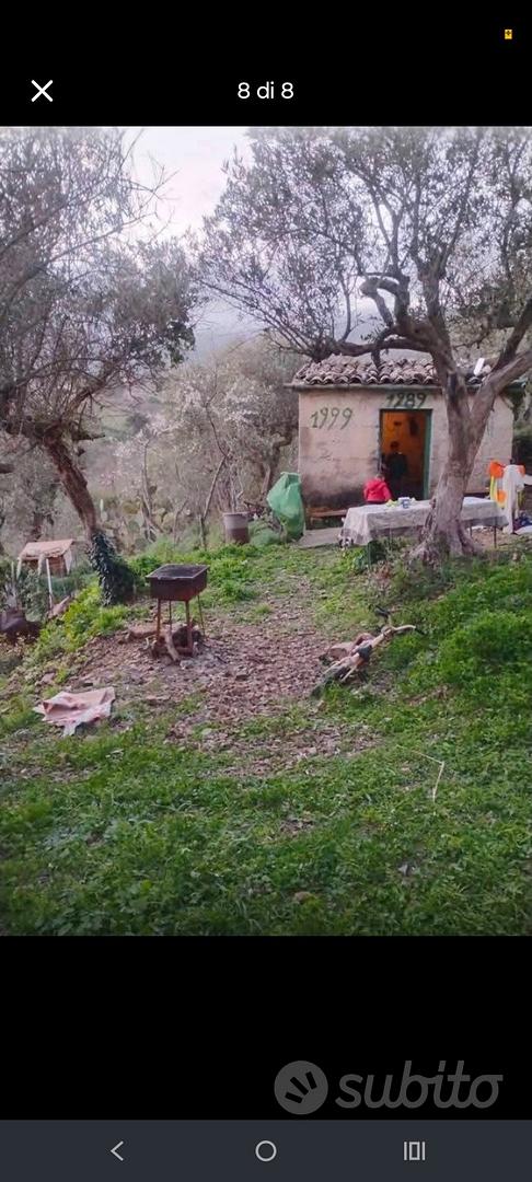 Terreno uliveto con casetta 15 Mila TRATTABILI - Altro