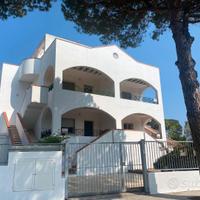 Metaponto - app. 200m dal mare - 8 posti letto