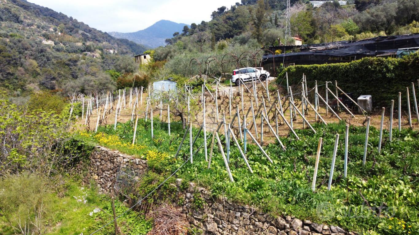 TER. AGRICOLO A VALLEBONA - Vista 5