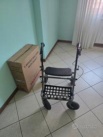 deambulatore 