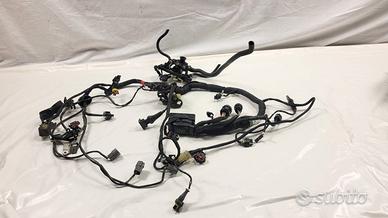 CABLAGGIO ELETTRONICO PRINCIPALE DUCATI MULTISTRAD