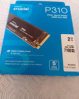 crucialp310 2 tb 