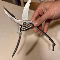 trinciapollo buffalo acciaio rostfrei vintage