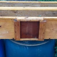 gabbia trasporto piccoli animali