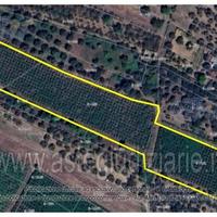 Terreno Agricolo Lanciano [A4344518]