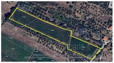Terreno Agricolo Lanciano [A4344518]